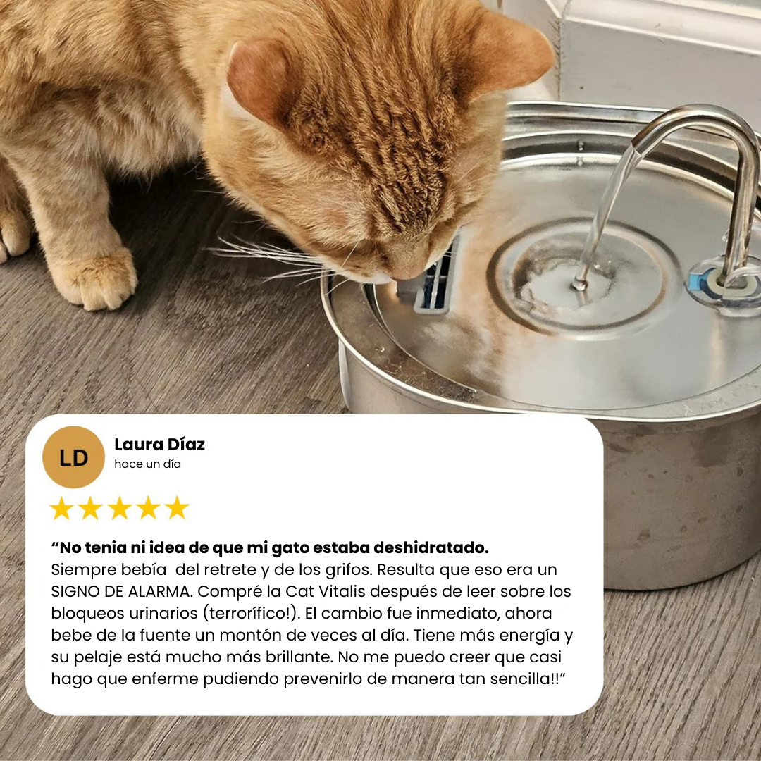 Fuente CatVitalis™