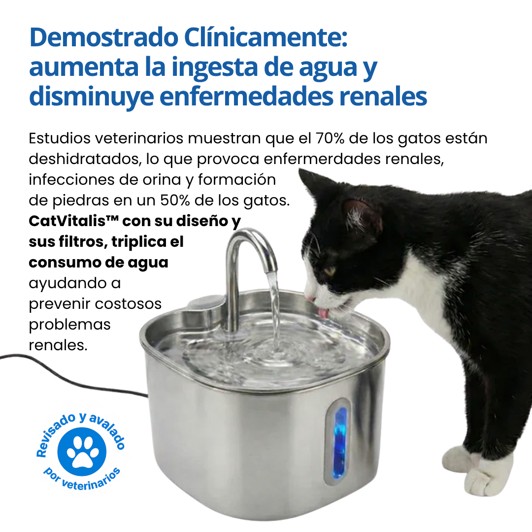 Fuente CatVitalis™