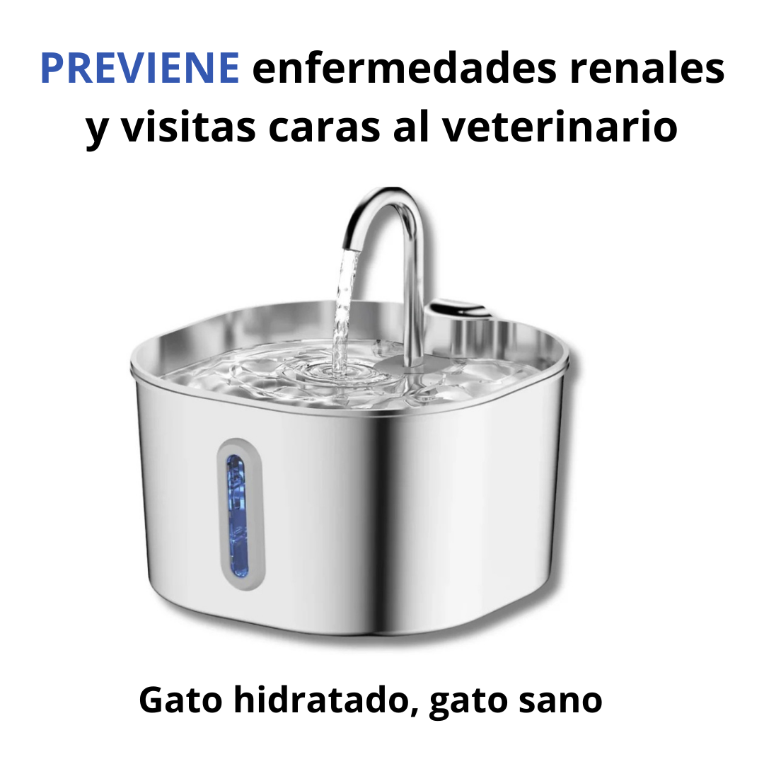 Fuente CatVitalis™