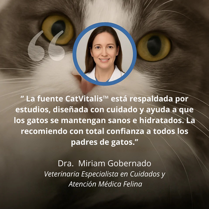 Fuente CatVitalis™