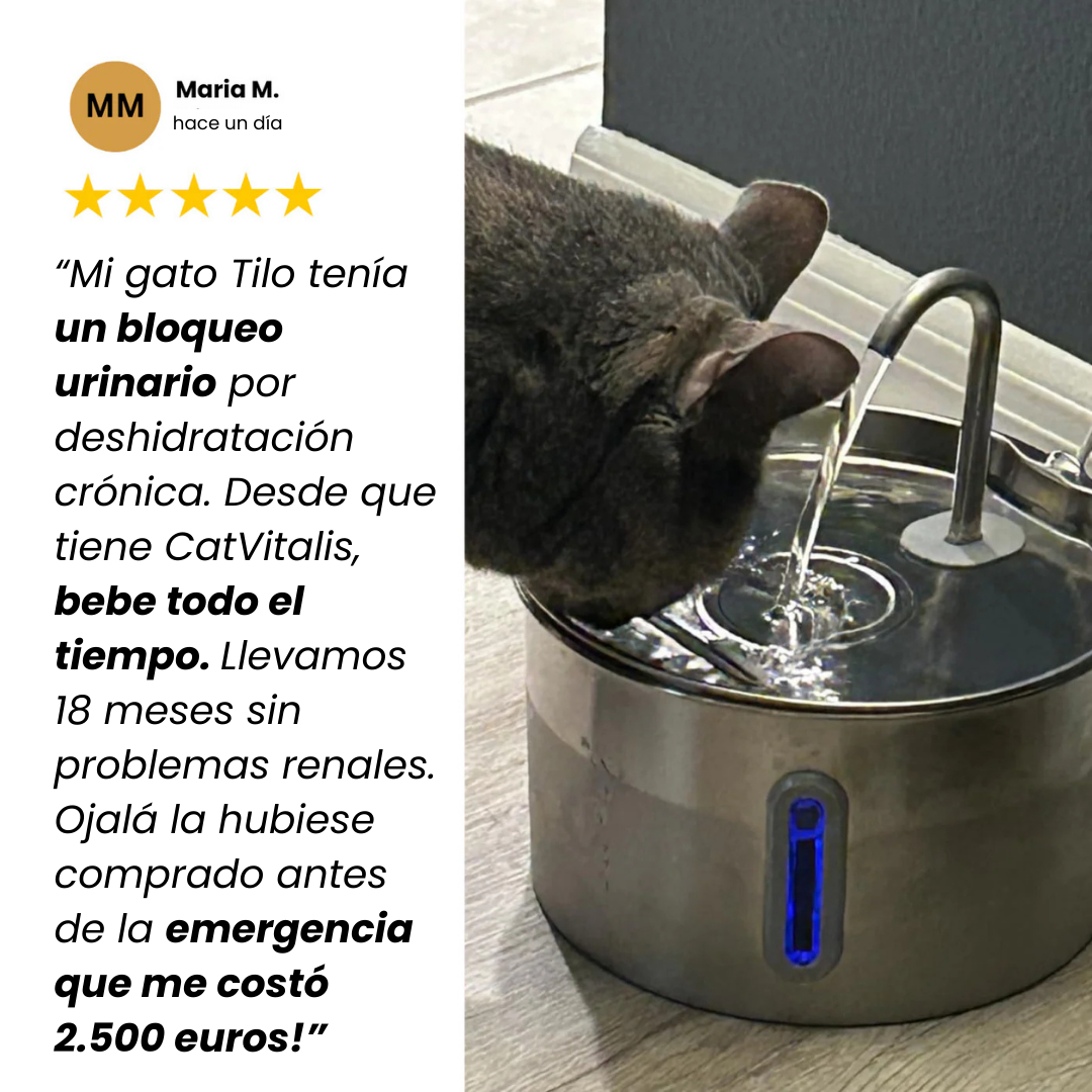 Fuente CatVitalis™