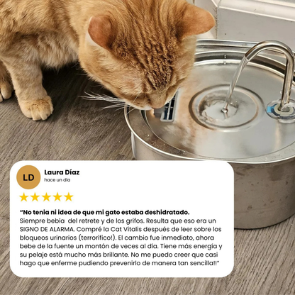 Fuente CatVitalis™