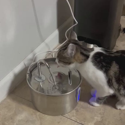 Fuente CatVitalis™